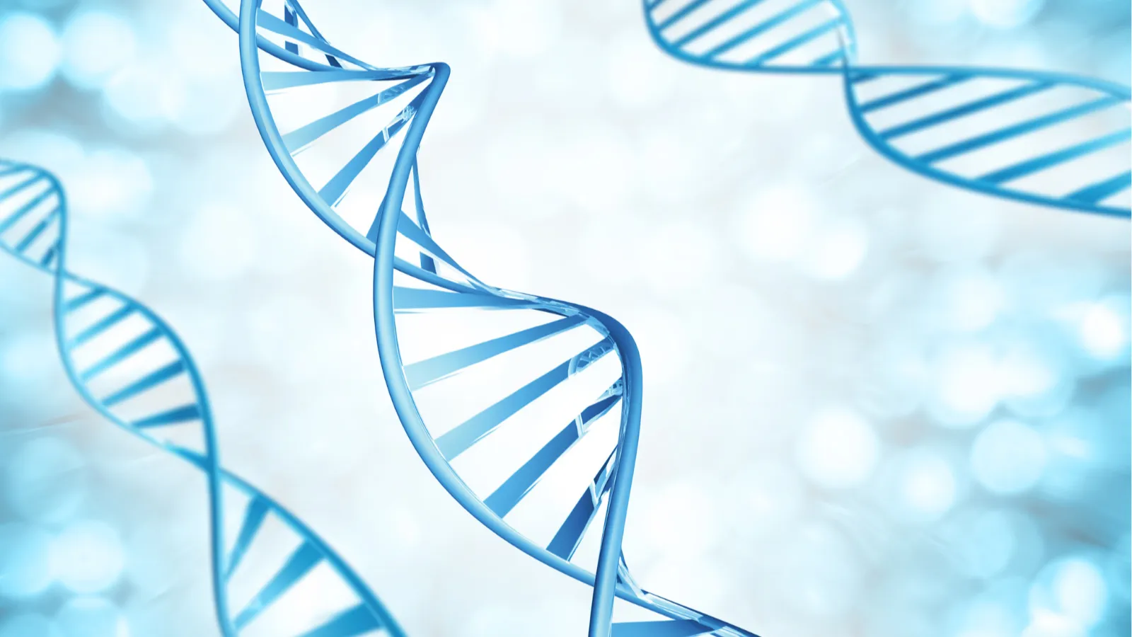 الحمض النووي للشركة: حجر الزاوية في هوية الشركة