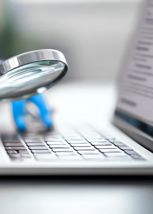 Search Engine Optimization (SEO)